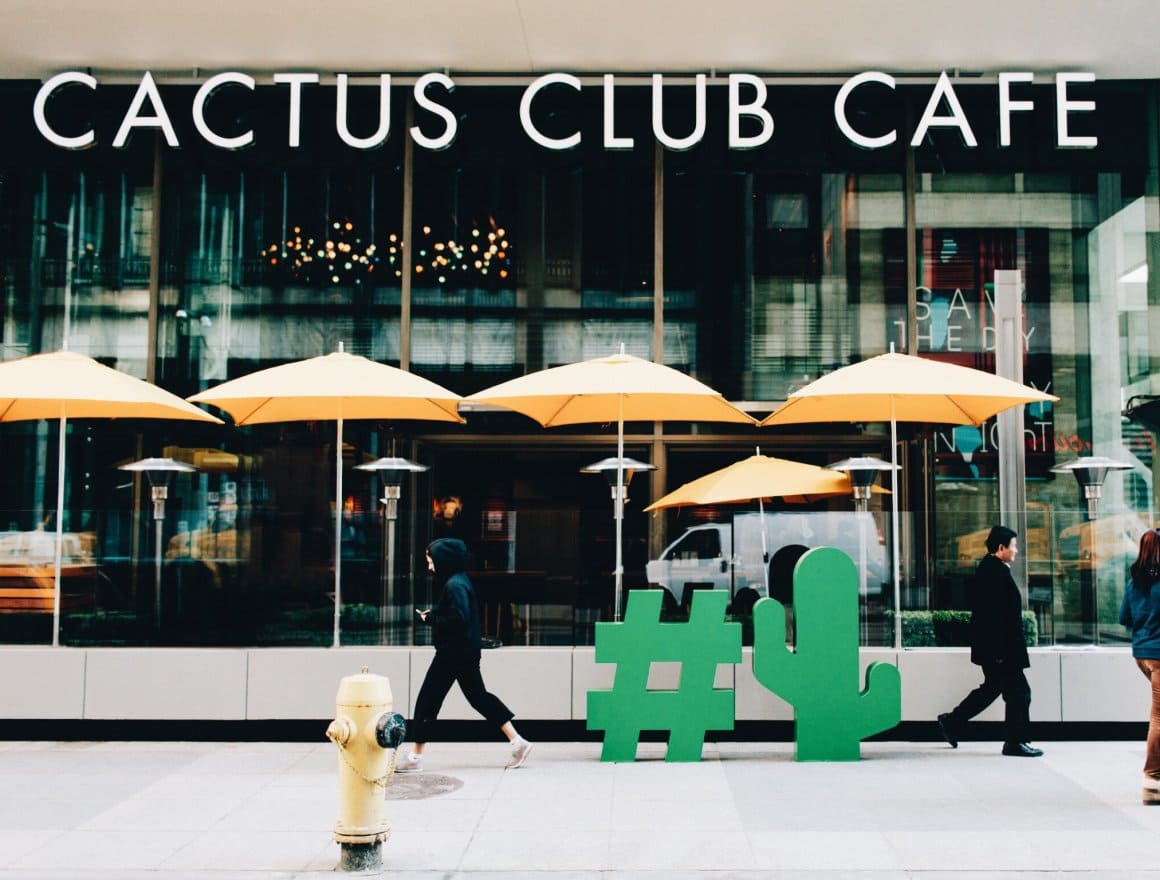 Cactus Club image