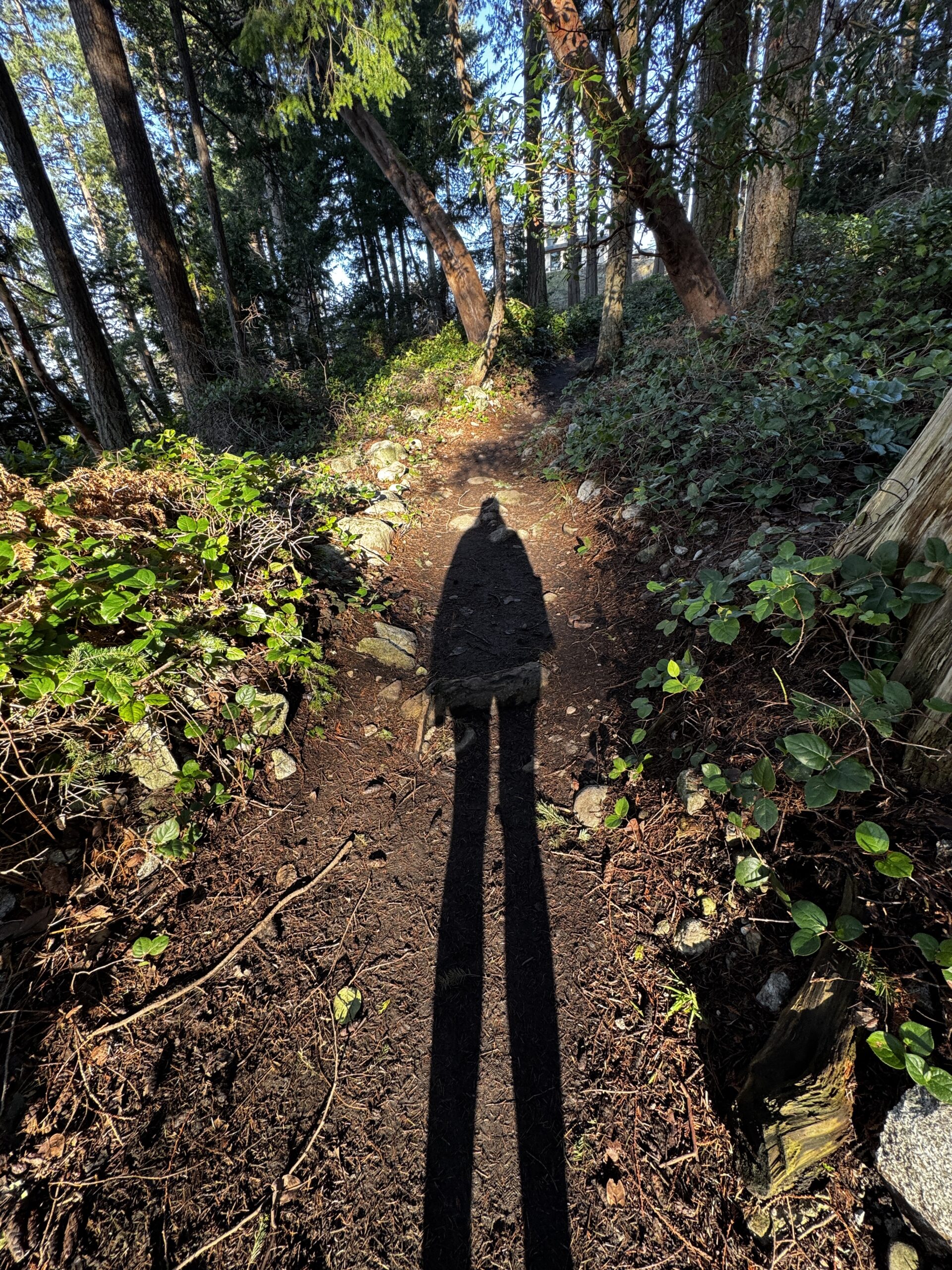 What Silence Gave Me Back: Reflections From a Silent Retreat on Communication